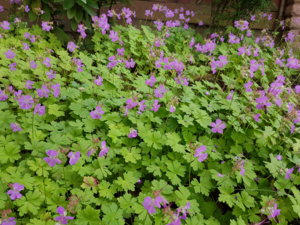 20170709_092640.jpg
