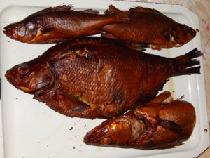 DSCN0031.JPG