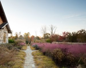 2011_NativeMeadow_140_copy.jpg