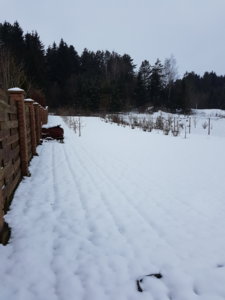 20171208_150505.jpg