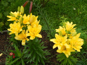 DSCN8989.JPG
