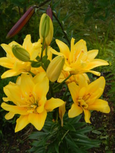 DSCN9156.JPG