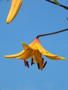 DSCN9215.JPG