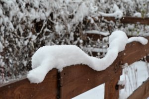 DSC_0150.JPG