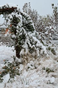 DSC_0105.JPG