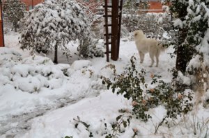 DSC_0107.JPG