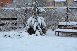 DSC_0112.JPG