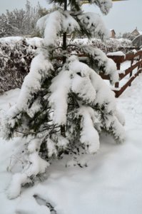 DSC_0114.JPG