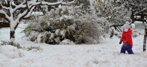 DSC_0145.JPG