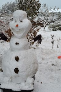 DSC_0192.JPG