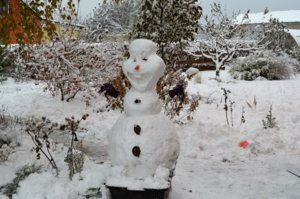 DSC_0191.JPG