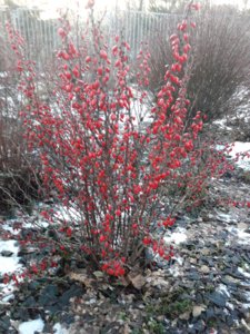 20180109_160830.jpg