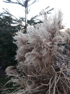 20180109_160723.jpg