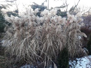 20180109_160734.jpg
