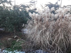 20180109_160738.jpg