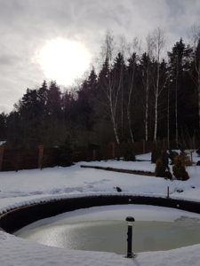 20170222_133054.jpg