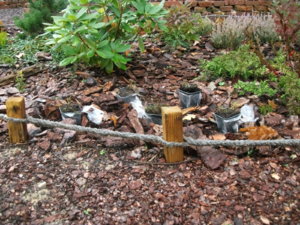 DSCF6549.JPG