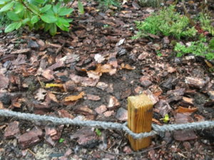 DSCF6552.JPG