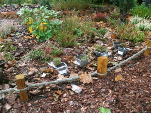 DSCF6548.JPG