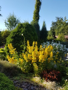 20190623_190608.jpg