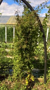 WP_20190708_14_41_36_Pro_LI.jpg