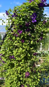 WP_20190708_14_41_46_Pro_LI.jpg