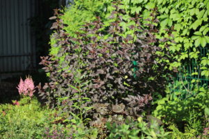 IMG_9424.JPG