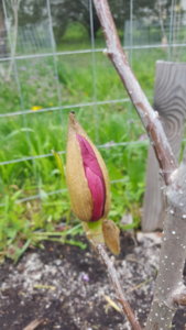 20190419_145302.jpg