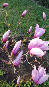 20180415_180305.jpg
