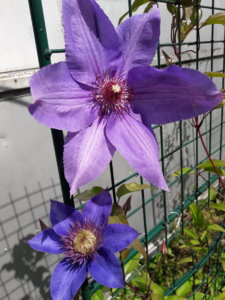 20190716_141553.jpg