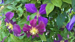WP_20190717_13_50_14_Pro_LI.jpg