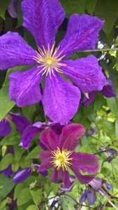 WP_20190717_13_50_53_Pro_LI.jpg