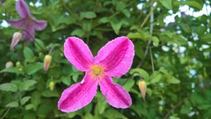 WP_20190717_13_49_39_Pro_LI.jpg