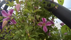 WP_20190717_13_49_53_Pro_LI.jpg