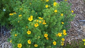 WP_20190718_14_48_57_Pro_LI.jpg