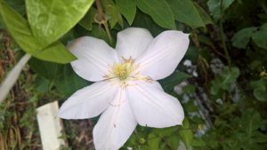 WP_20190723_14_59_46_Pro_LI.jpg