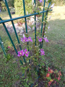 DSCN3201.JPG
