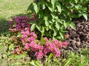 DSCN2957.JPG