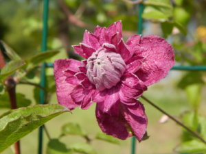 DSCN3148.JPG