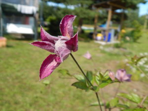 DSCN3150.JPG