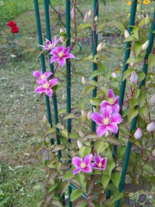 DSCN3118.JPG