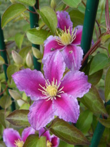 DSCN3119.JPG