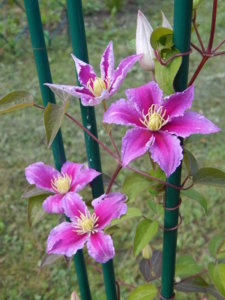 DSCN3121.JPG