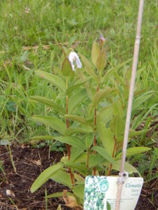 DSCN2539.JPG