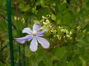 DSCN2772.JPG