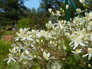 DSCN3153.JPG