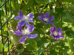 DSCN3158.JPG