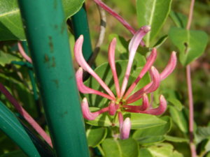 DSCN3157.JPG