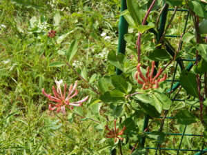 DSCN3160.JPG