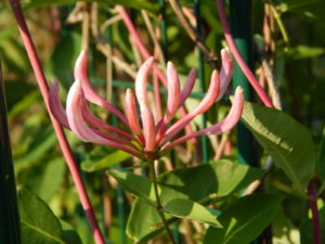 DSCN3196.JPG